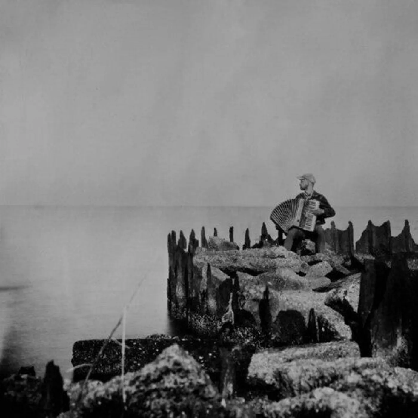 Walt Mcclements LP Vinyl - Hole In The Fence
