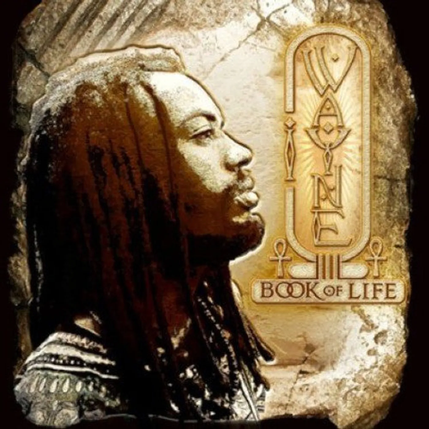 I Wayne LP Vinyl - Book Of Life