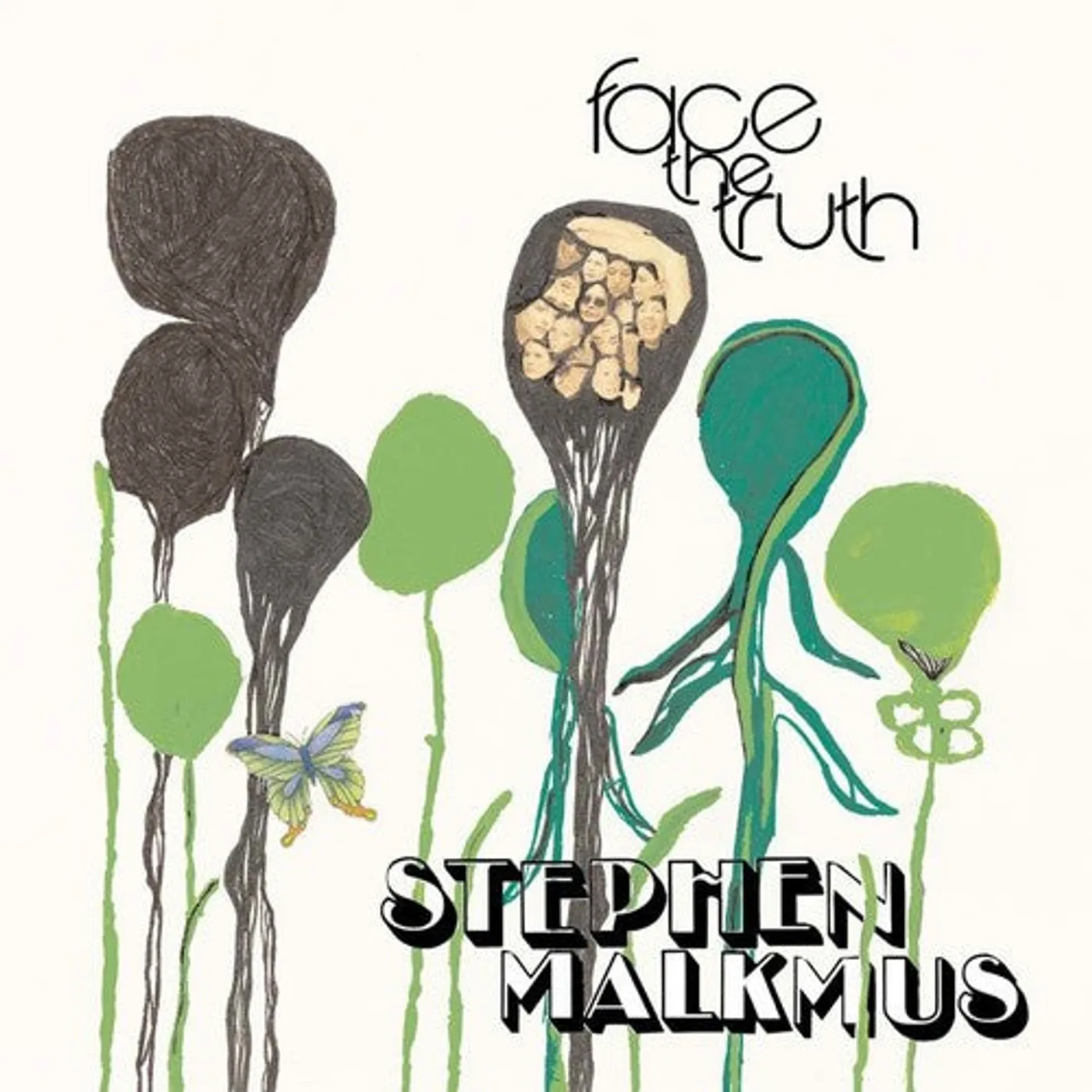 Stephen Malkmus LP Vinyl - Face The Truth