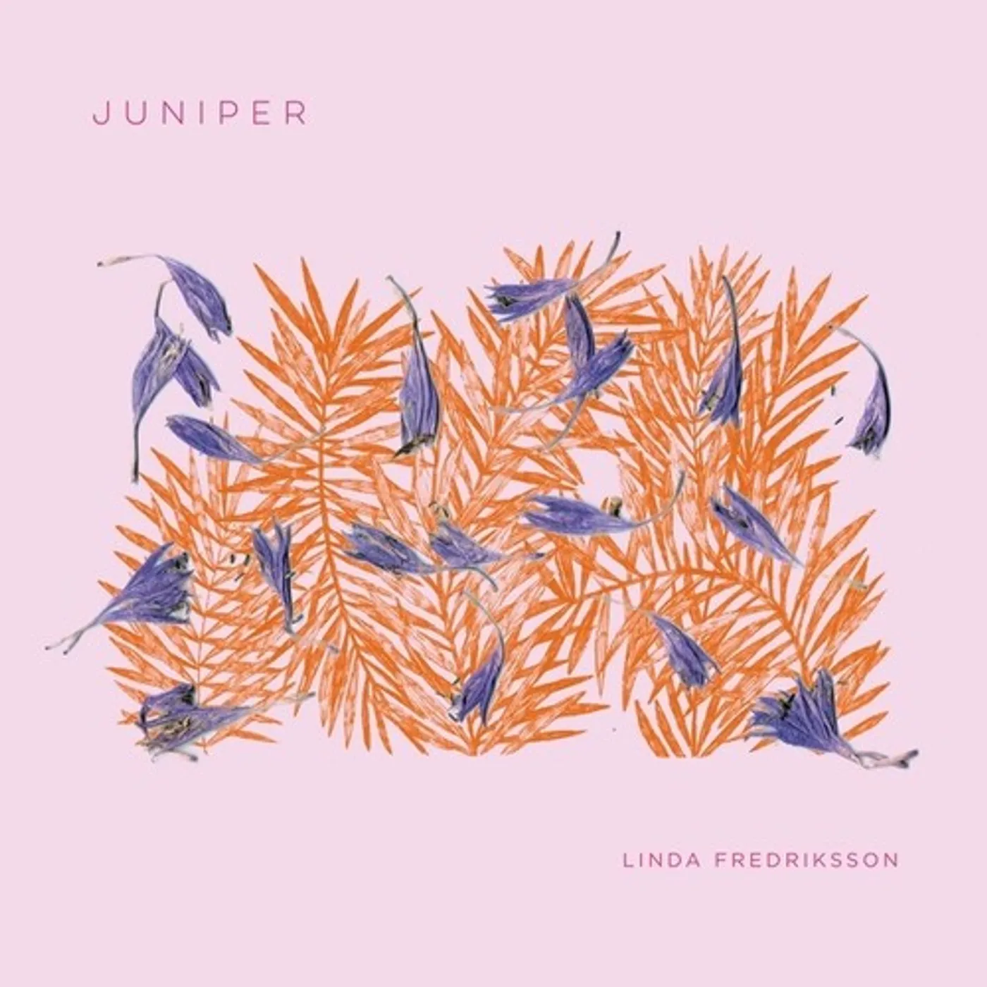Linda Fredriksson LP Vinyl - Juniper (Coloured Vinyl) (Viol)