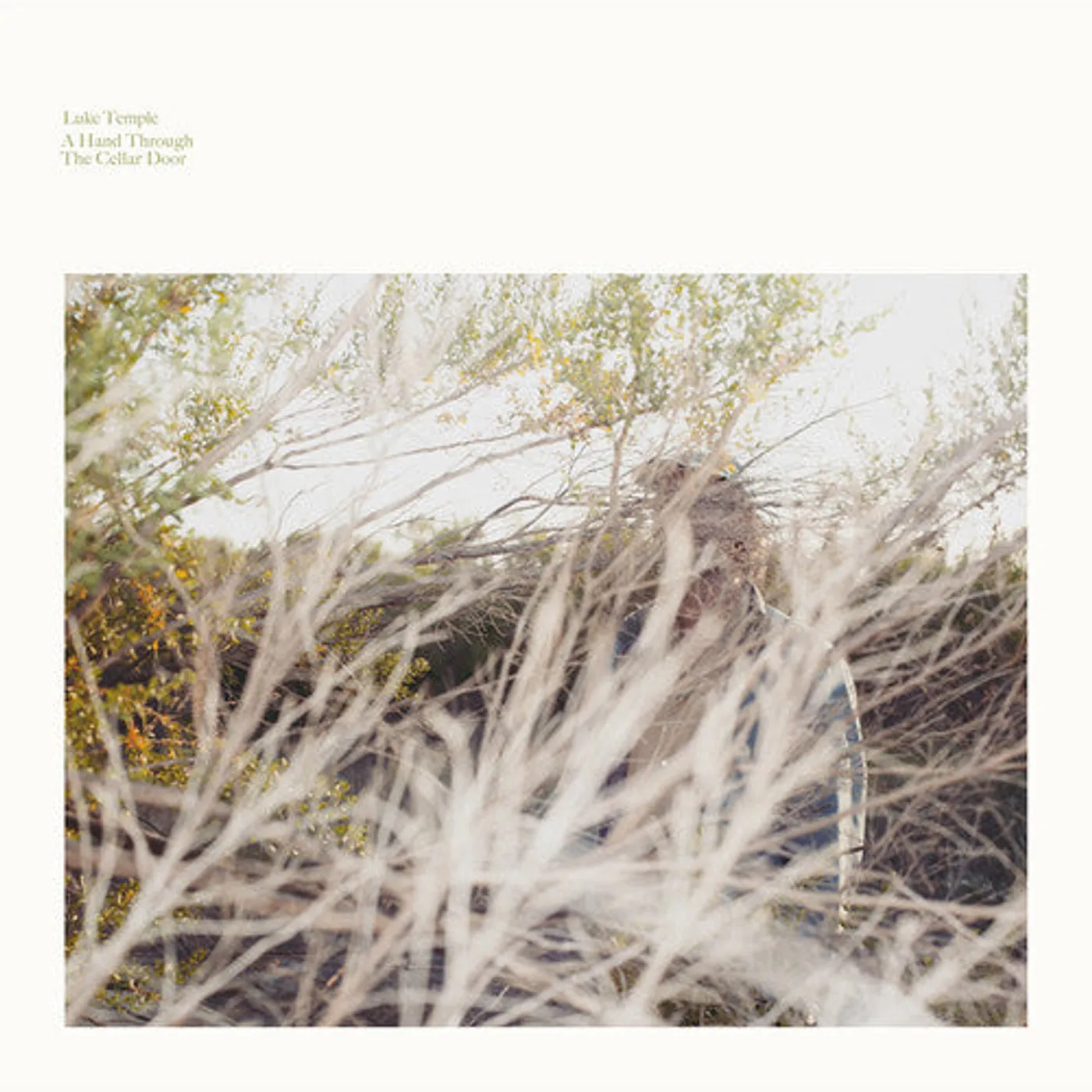 Luke Temple LP Vinyl - Hand Through The Cellar Door