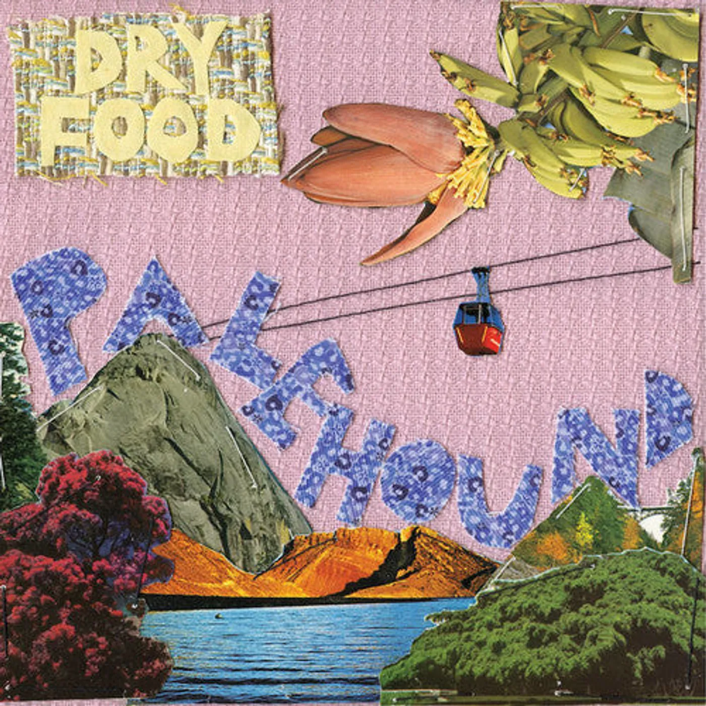 Palehound LP Vinyl - Dry Food