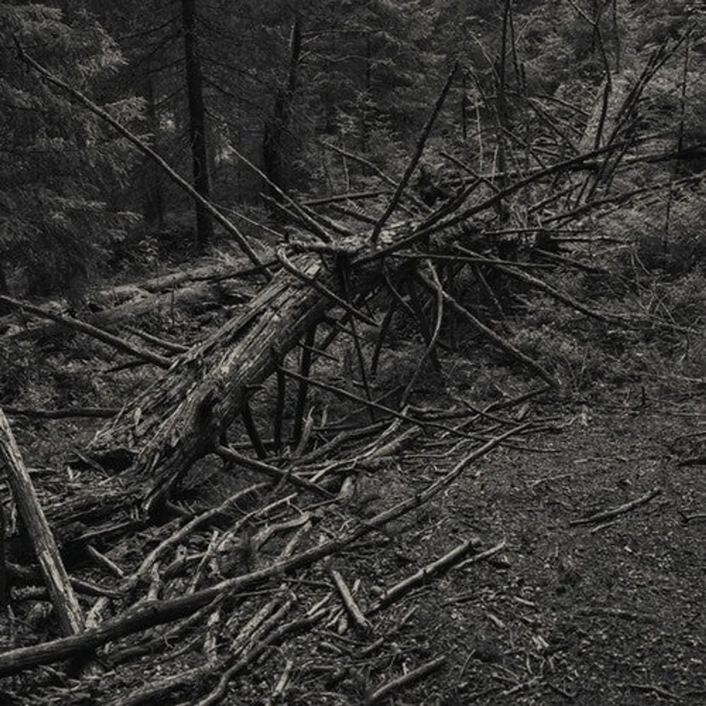 Sult LP Vinyl - Always I Gnaw