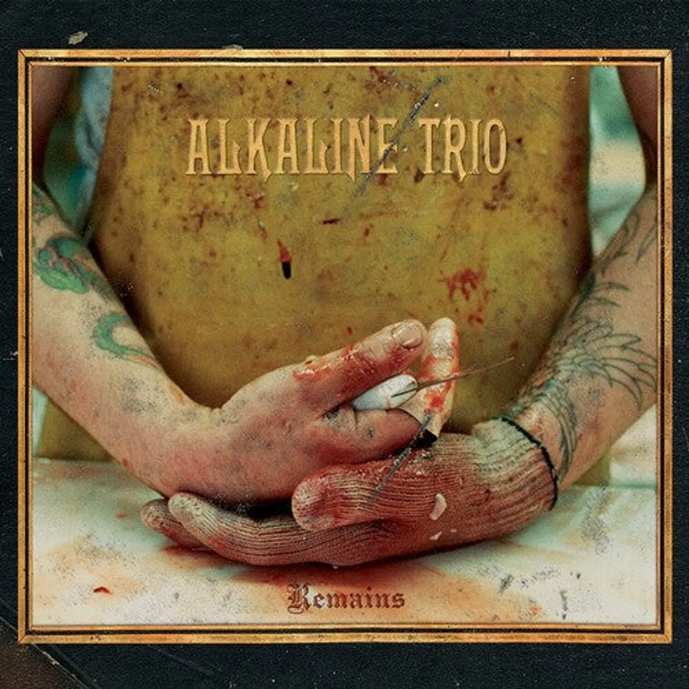 Alkaline Trio LP Vinyl - Remains (Dlx) (Ltd)