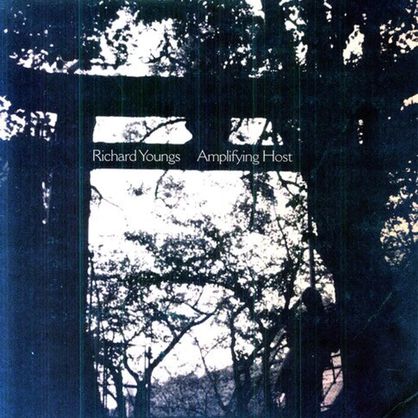 Richard Youngs LP Vinyl - Amplifying Host