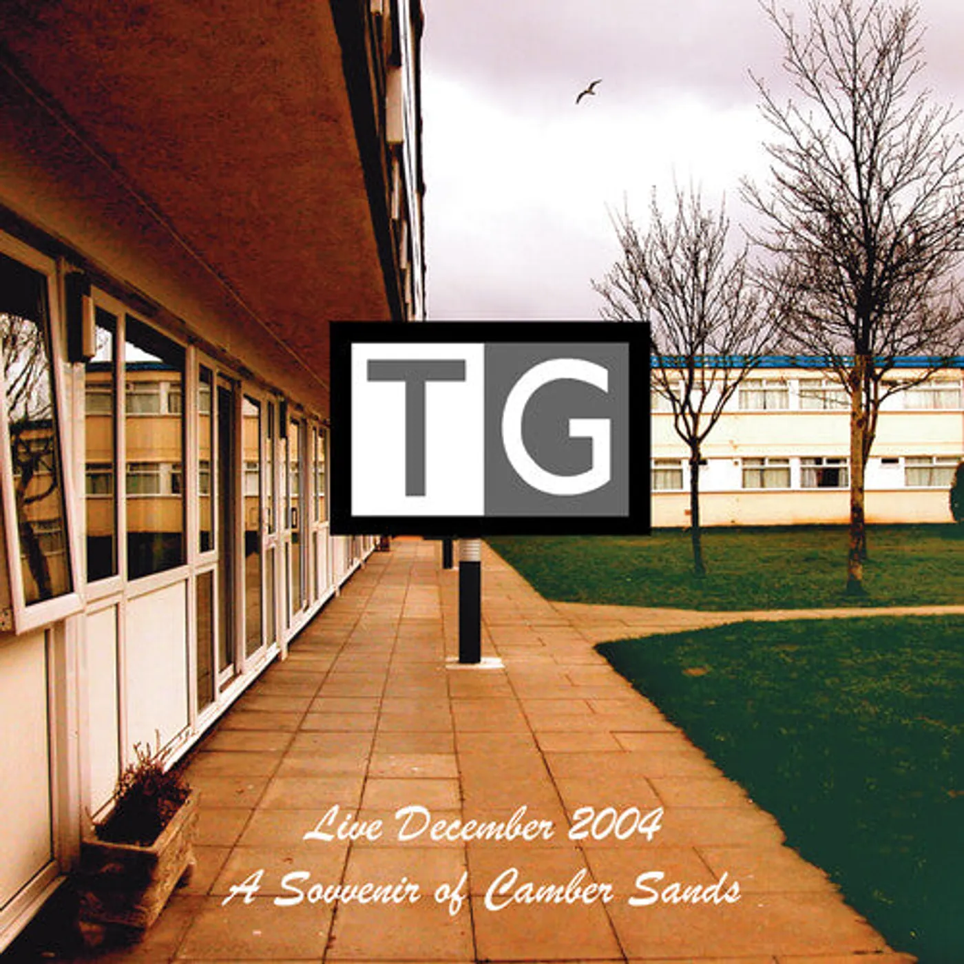 Throbbing Gristle LP Vinyl - Souvenir Of Camber Sands