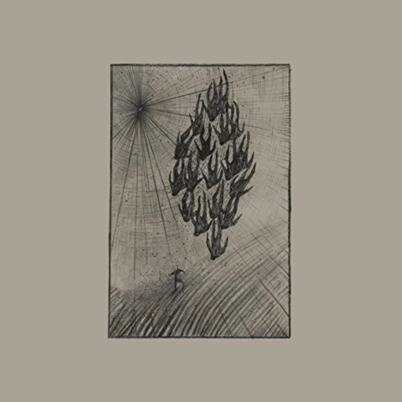 Aine O'Dwyer LP Vinyl - Locusts