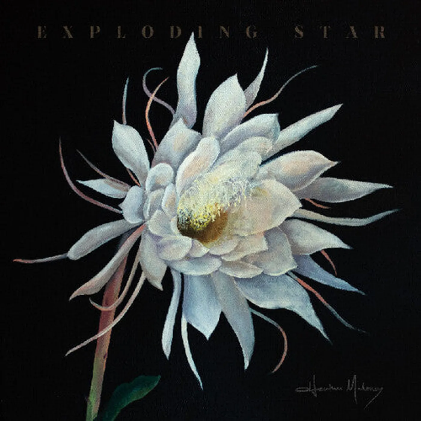 Heather Maloney LP Vinyl - Exploding Star