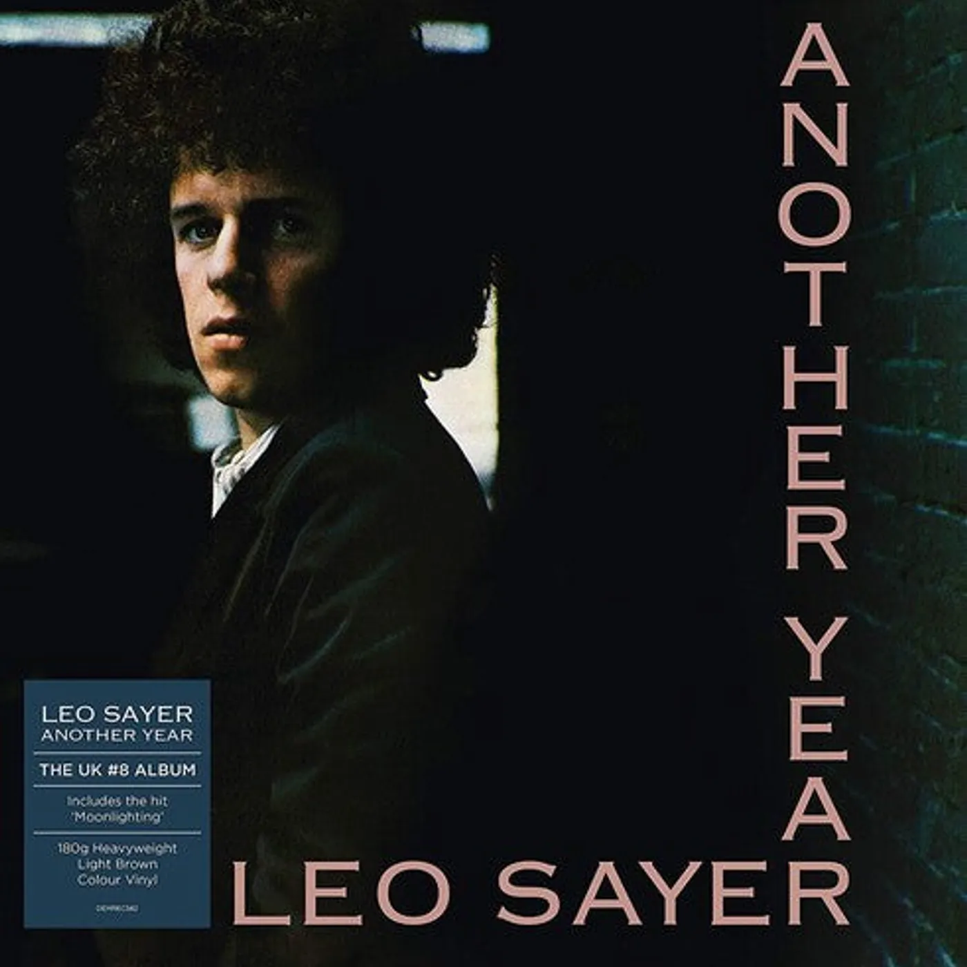 Leo Sayer LP Vinyl - Another Year (Uk)