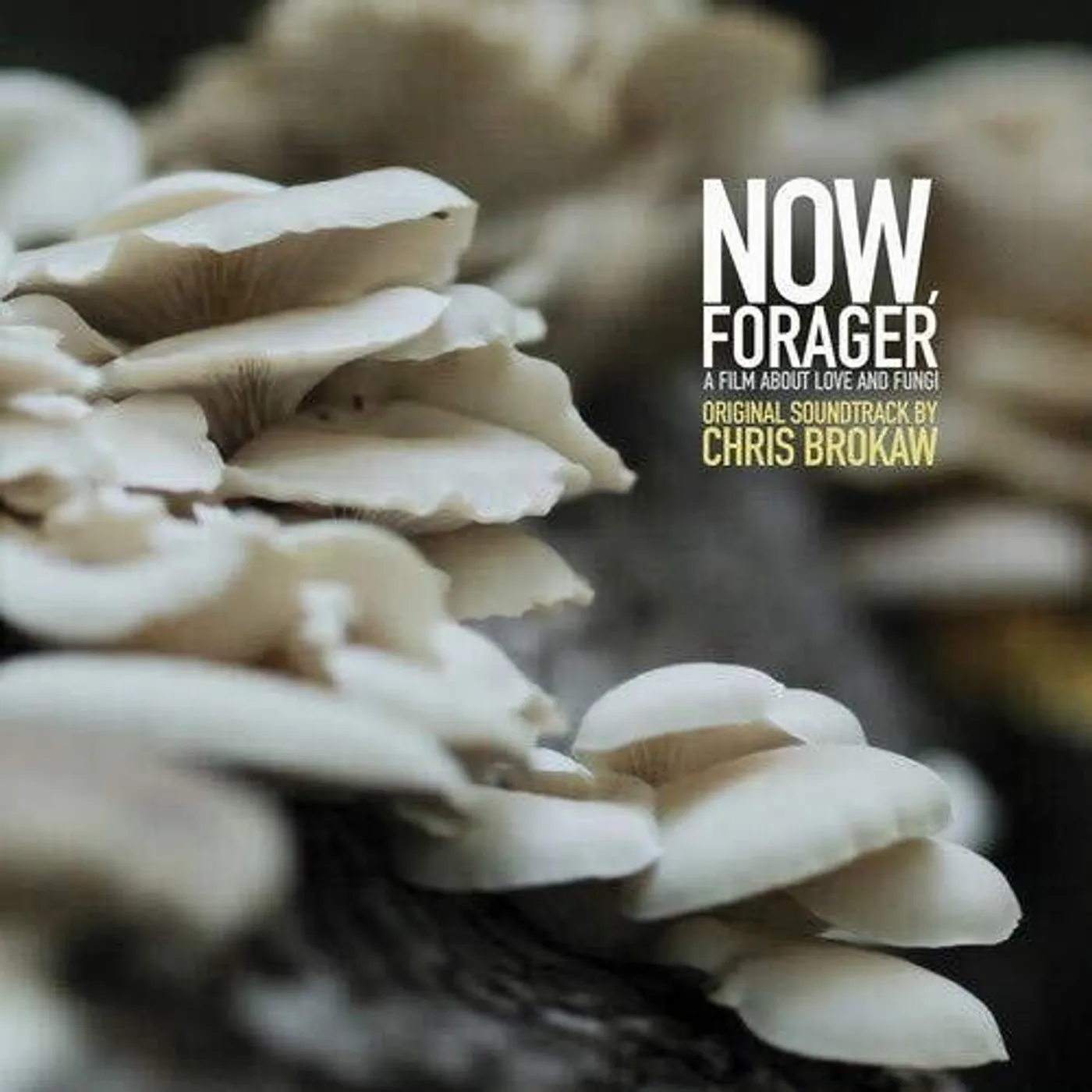 Chris Brokaw LP Vinyl - Now Forager - Original Soundtrack