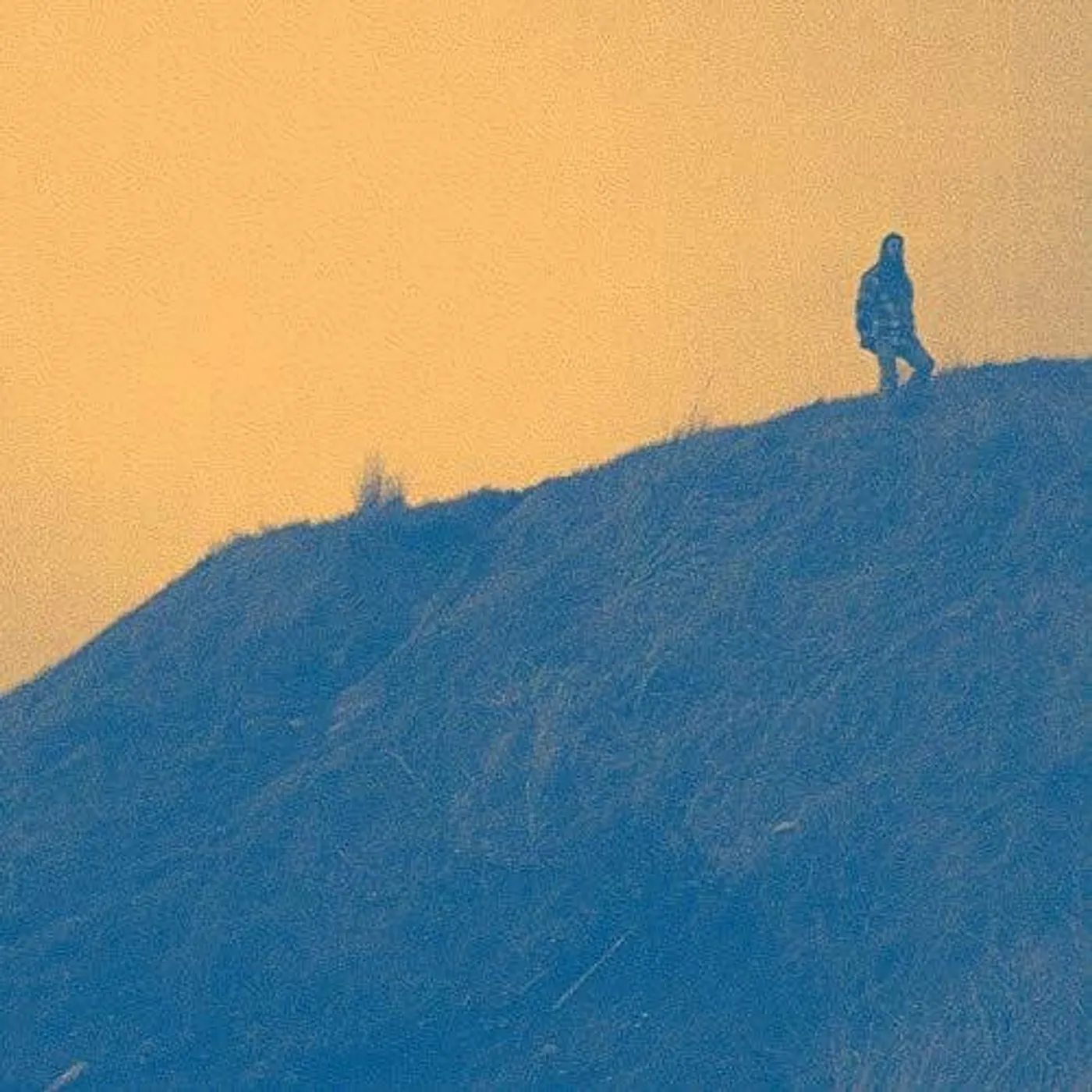 Dead Soft LP Vinyl - Big Blue (Dlcd)