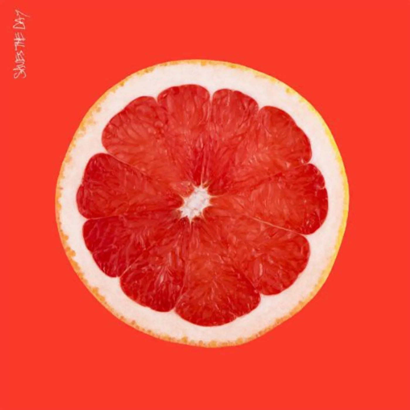 Saves The Day LP Vinyl - Saves The Day