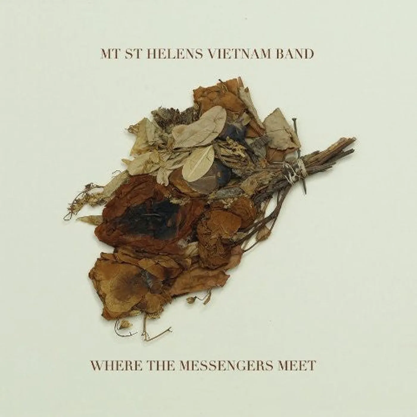 Mt. St. Helens Vietnam Band LP Vinyl - Where The Messengers Meet
