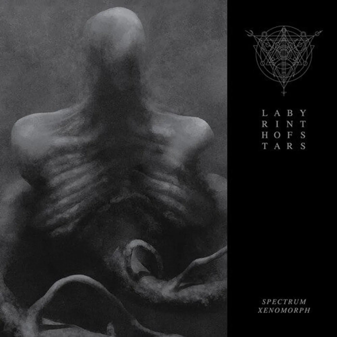 Labyrinth Of Stars LP Vinyl - Spectrum Xenomorph