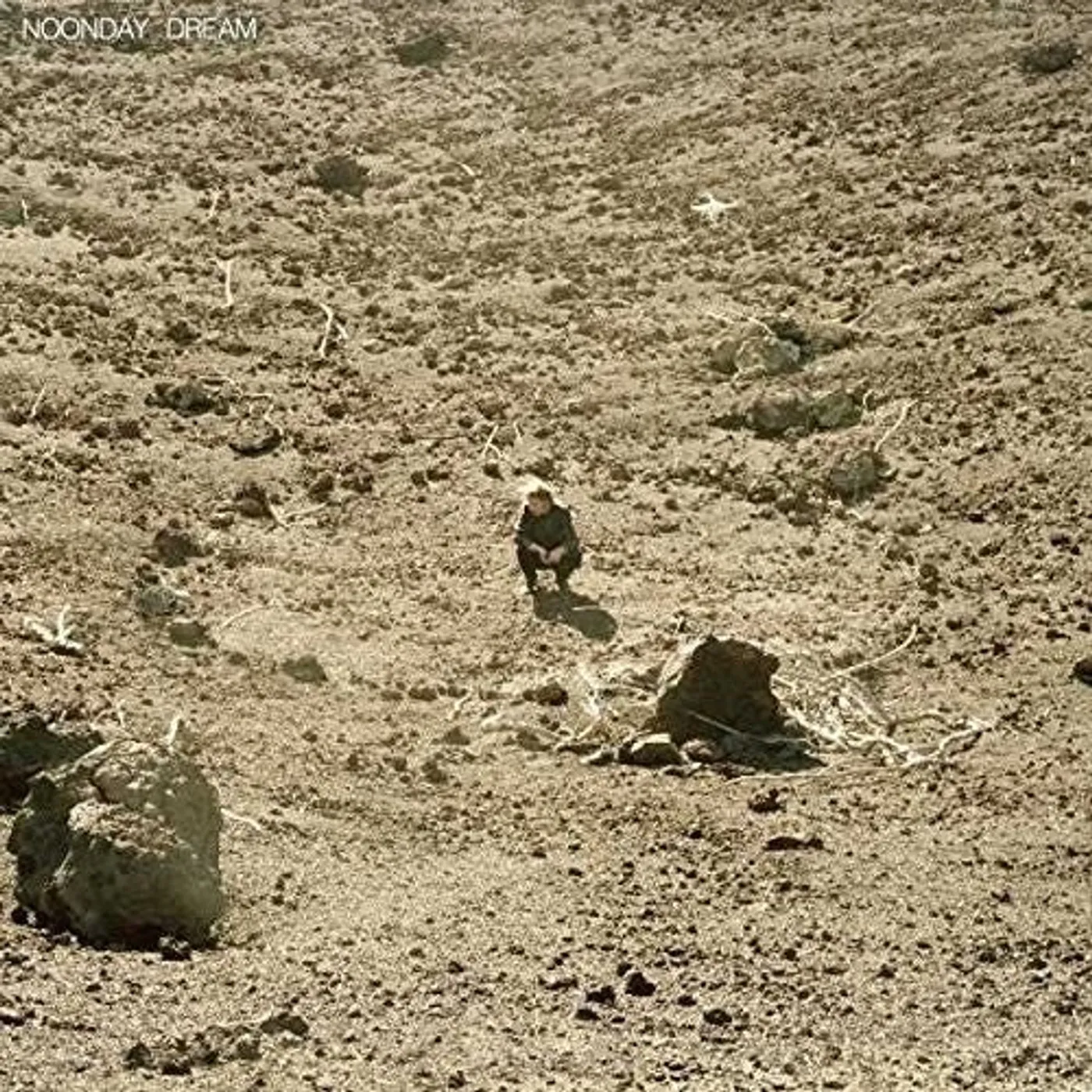 Ben Howard LP Vinyl - Noonday Dream (Uk)