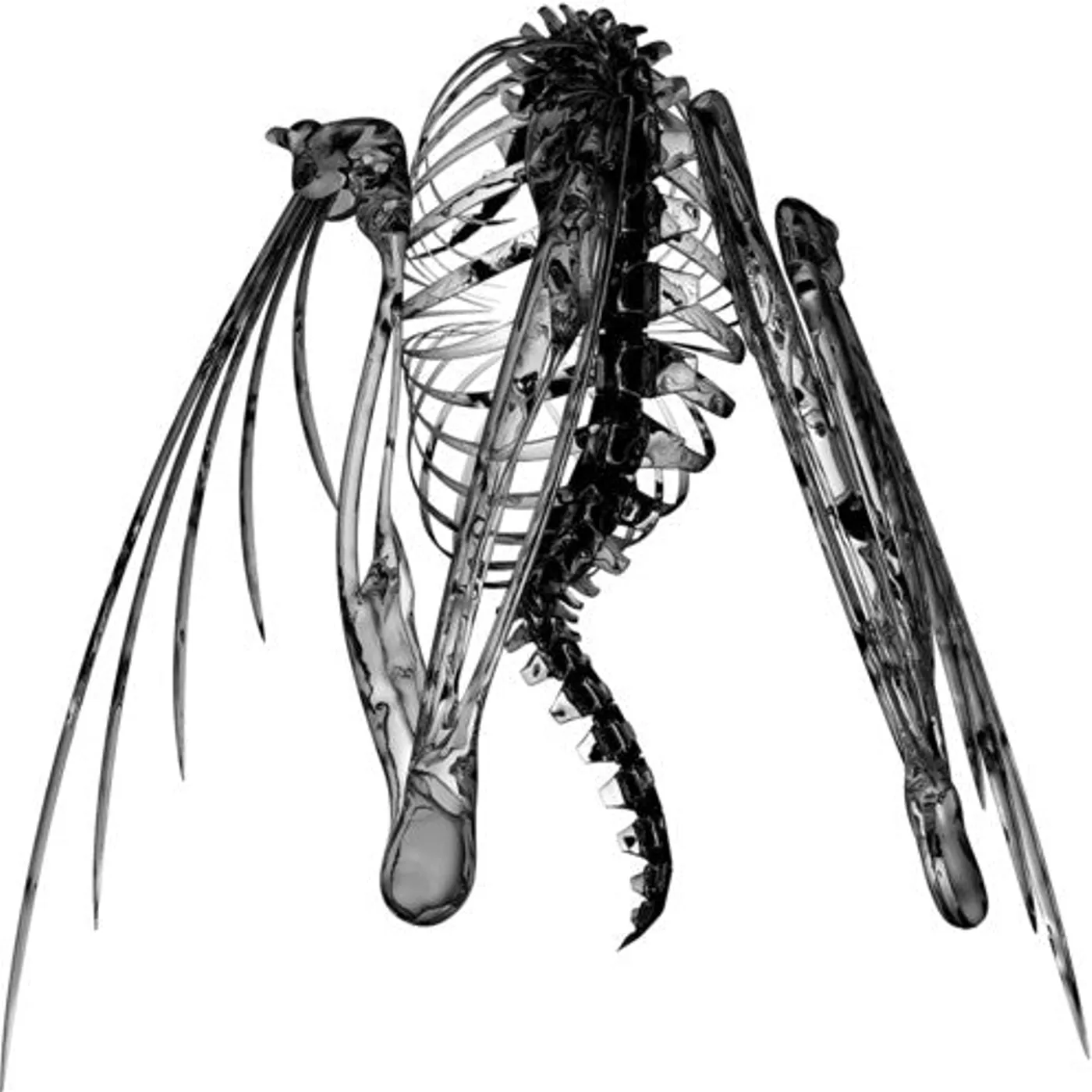 Lotic LP Vinyl - Heterocetera