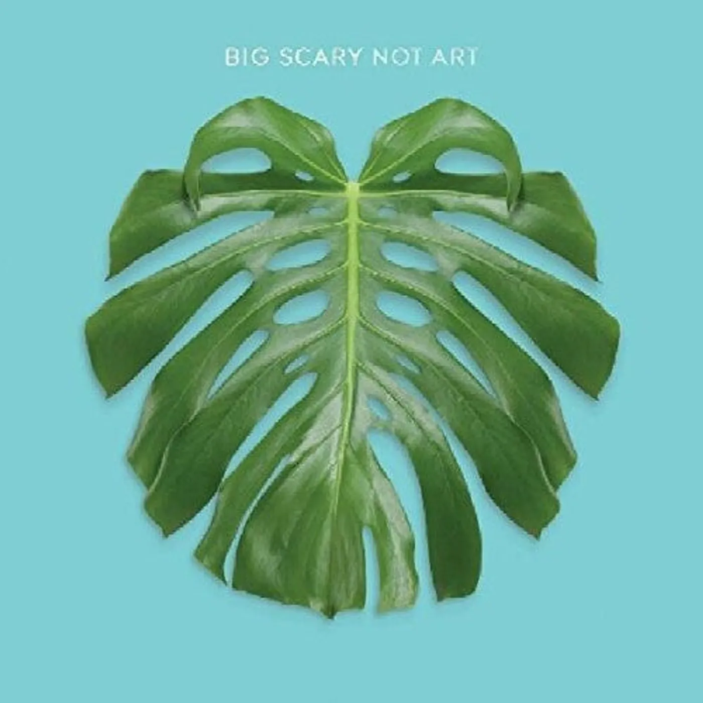 Big Scary LP Vinyl - Not Art (Gate Fold)