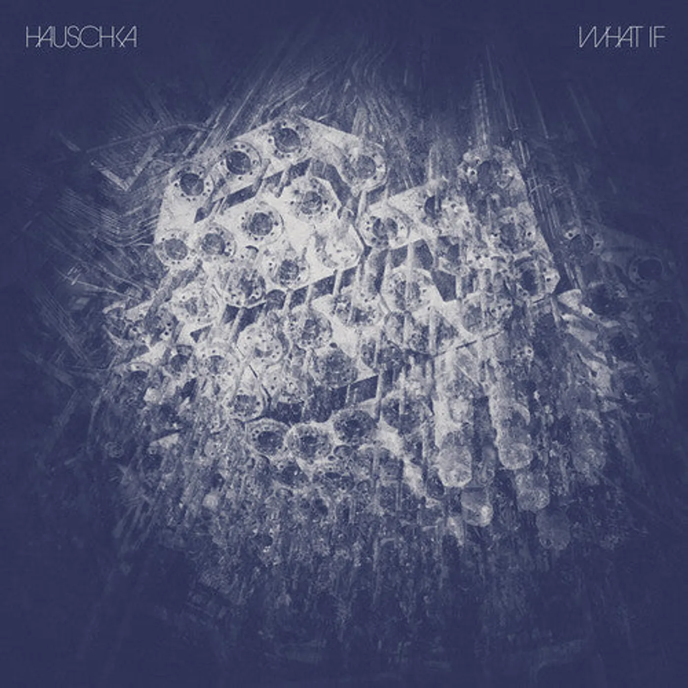 Hauschka LP Vinyl - What If