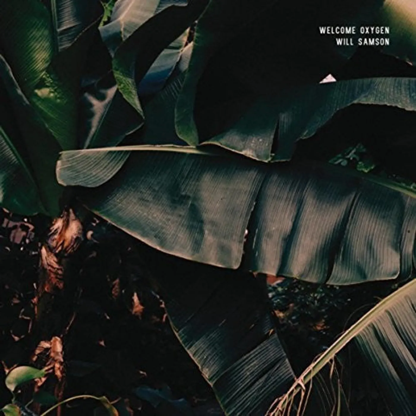Will Samson LP Vinyl - Welcome Oxygen