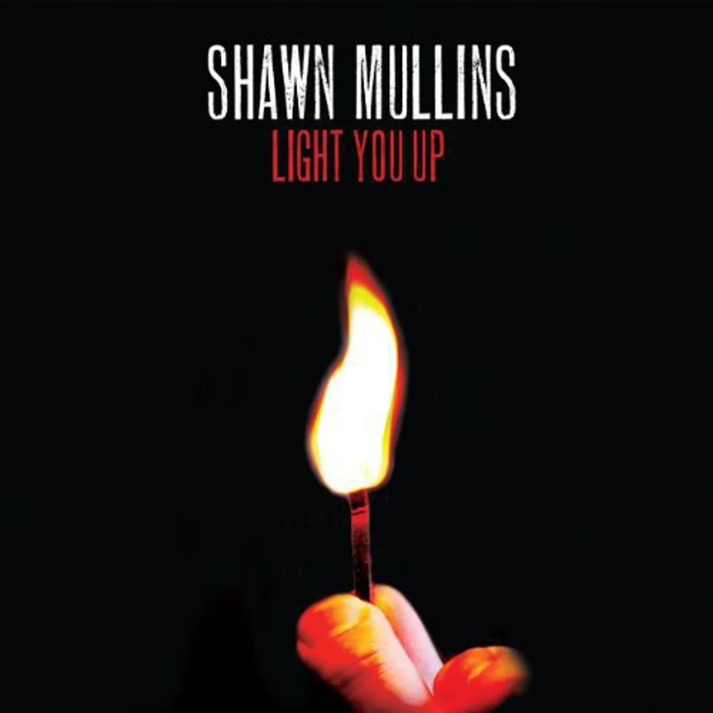 Shawn Mullins LP Vinyl - Light You Up