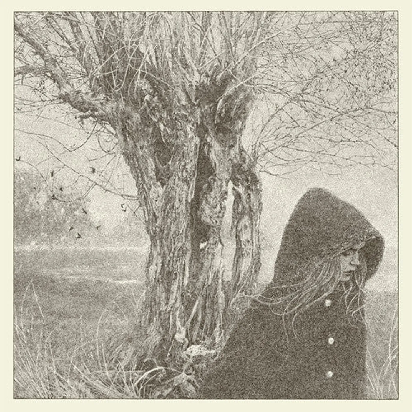 Lankum LP Vinyl - Between The Earth & Sky