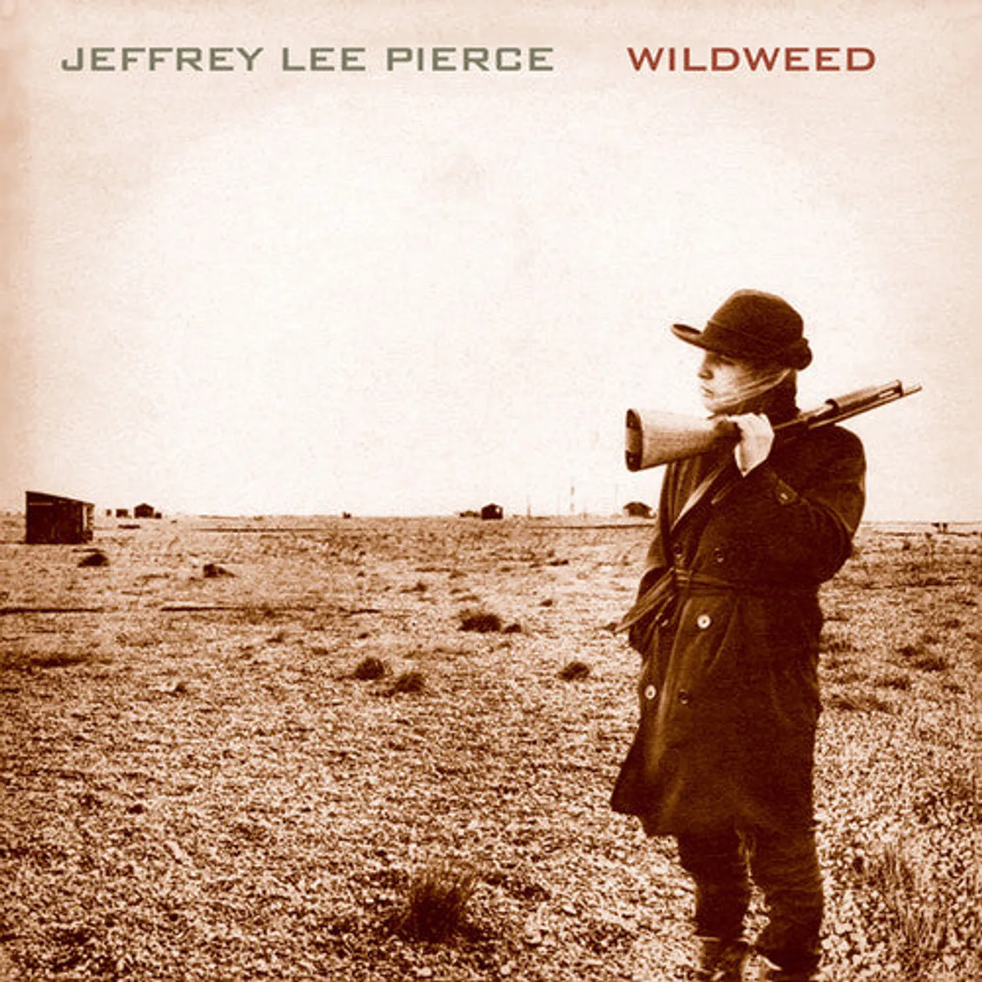 Jeffrey Lee Pierce LP Vinyl - Wildweed