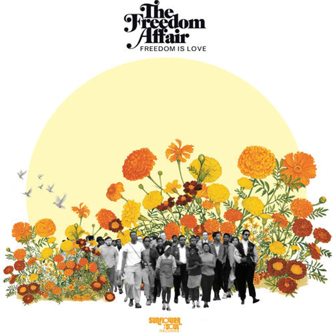 The Freedom Affair LP Vinyl - Freedom Is Love