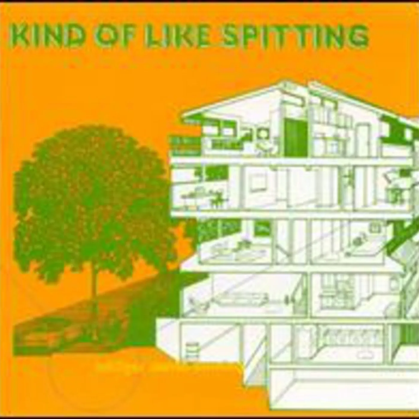 Kind Of Like Spitting LP Vinyl - Bridges Worth Burning (Dlcd)