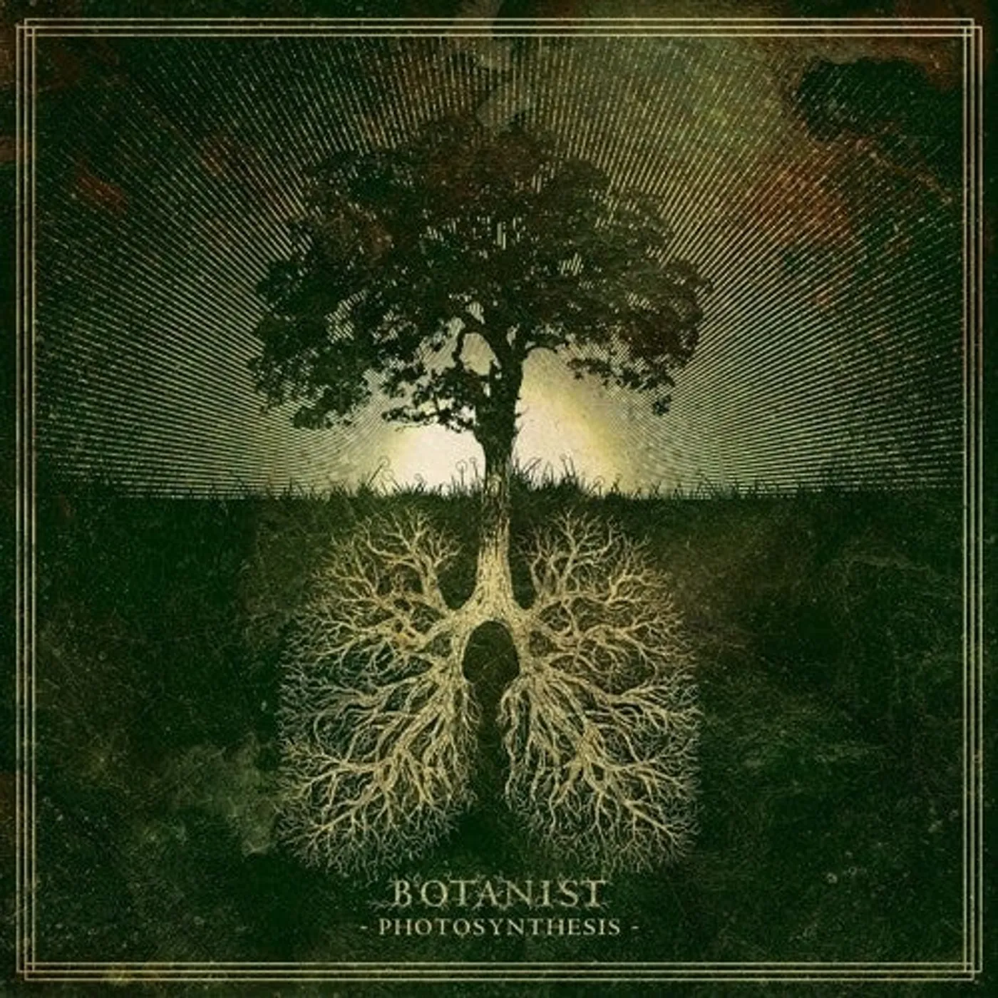 Botanist LP Vinyl - Photosynthesis