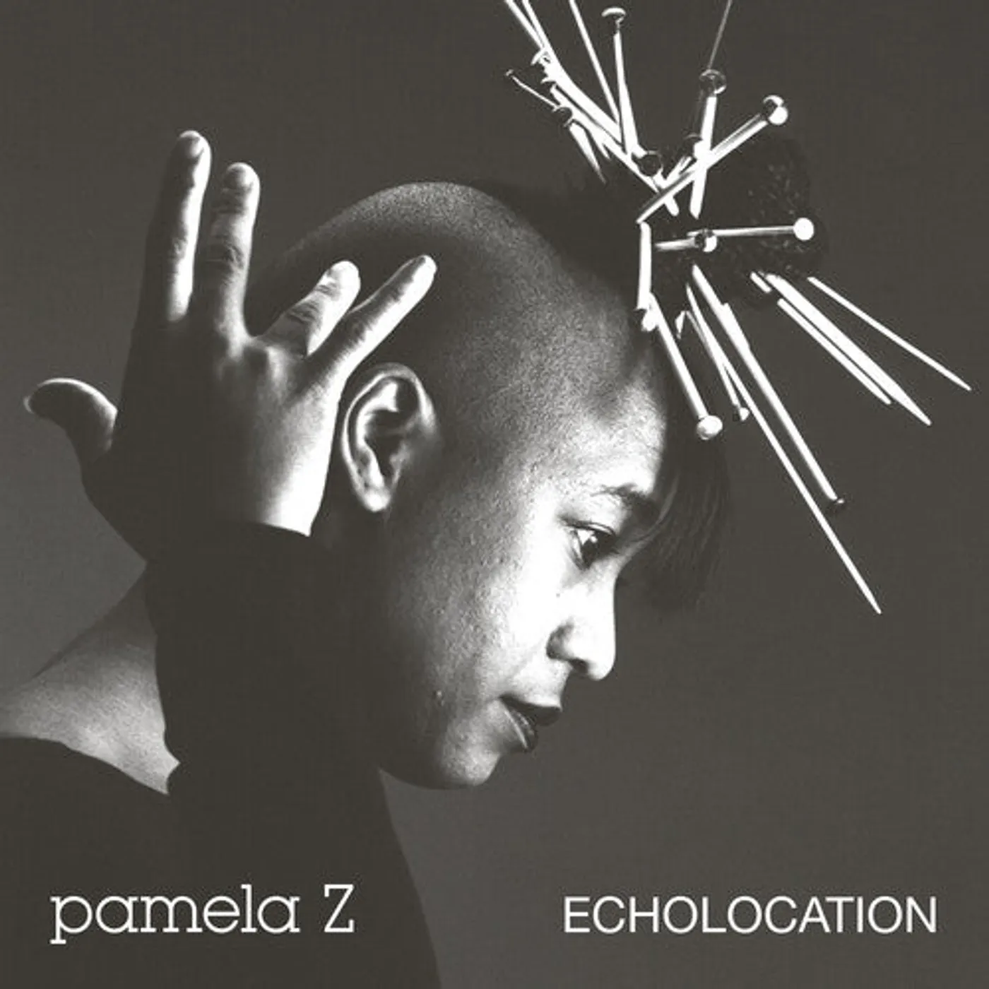 Pamela Z LP Vinyl - Echolocation - Natural Swirl (Coloured Vinyl)