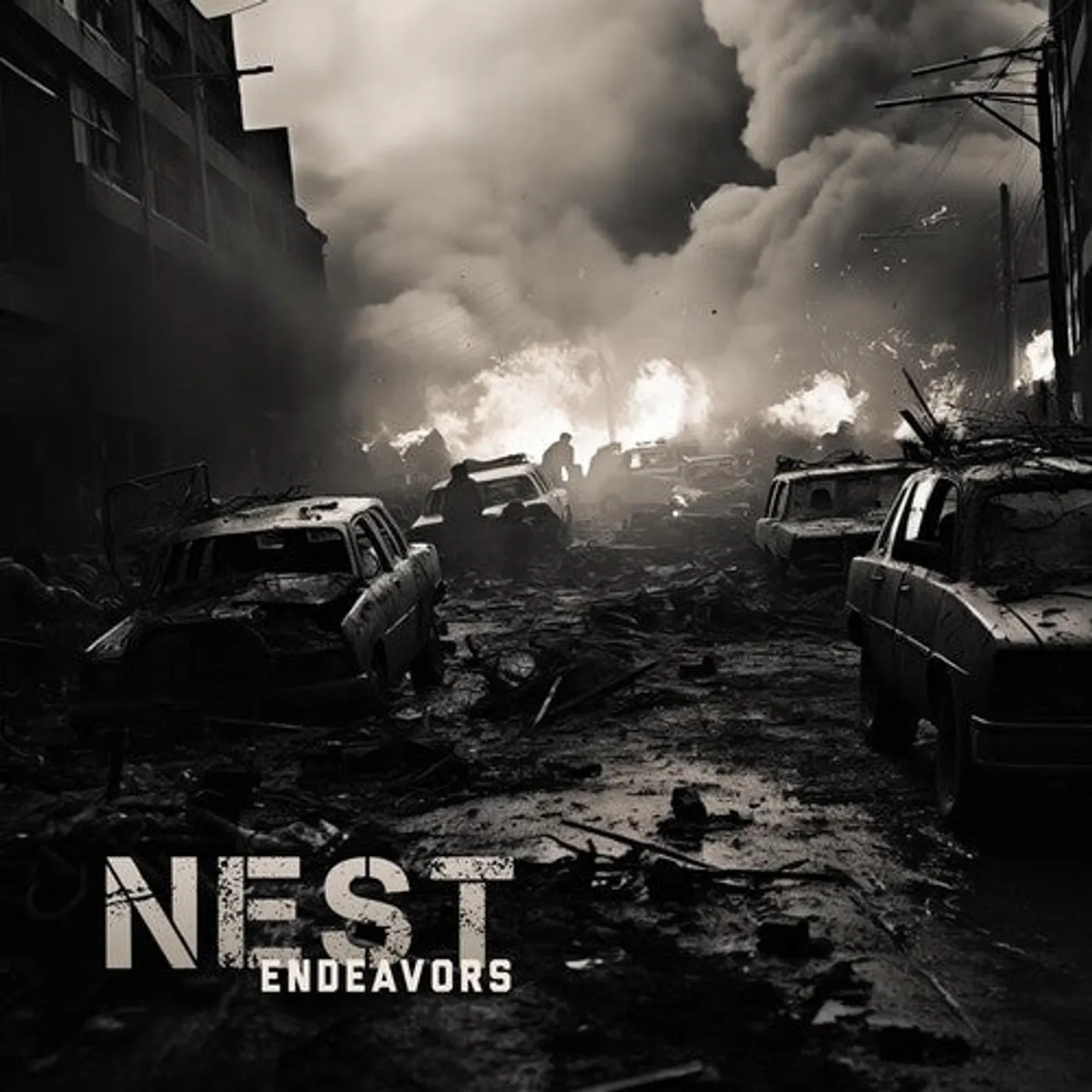 Nest LP Vinyl - Endeavors