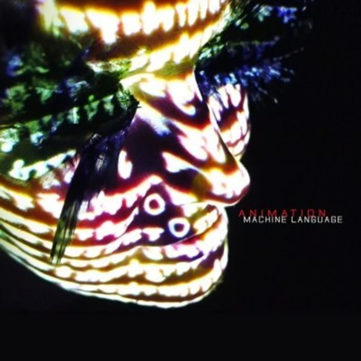 Animation LP Vinyl - Machine Language