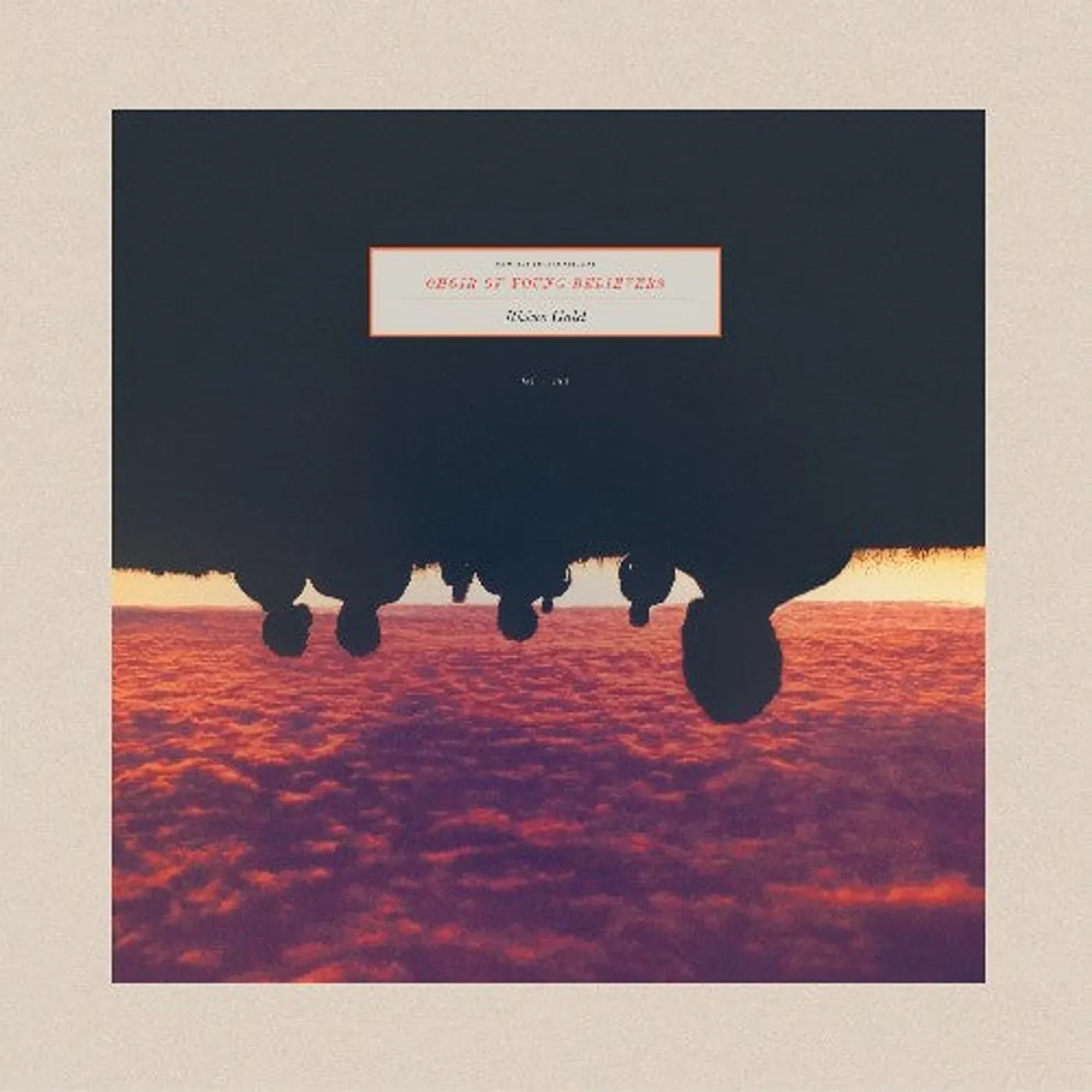 Choir Of Young Believers LP Vinyl - Rhine Gold
