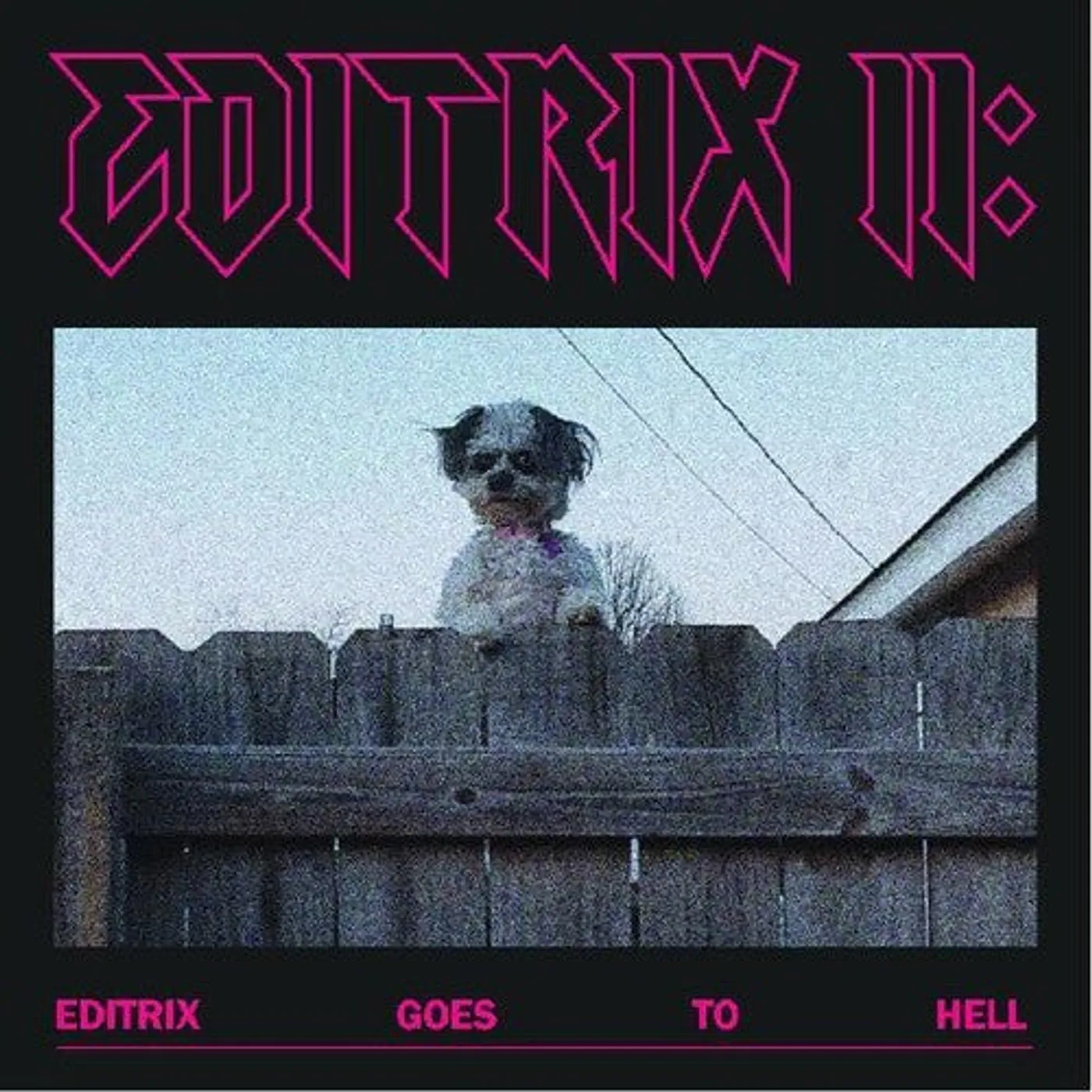 Editrix LP Vinyl - Editrix Ii: Editrix Goes To Hell