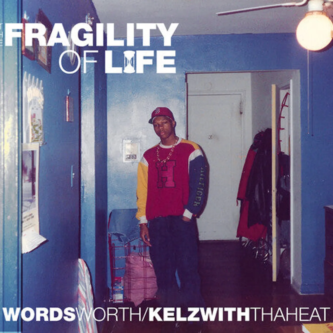 Wordsworth LP Vinyl - Fragility Of Life