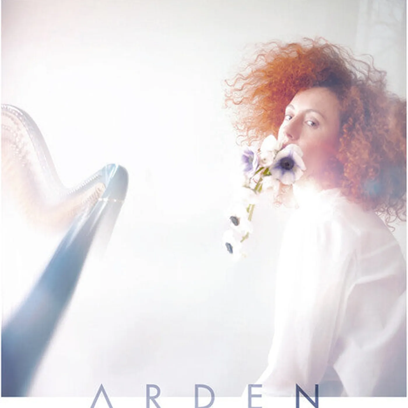 Arden LP Vinyl - Arden