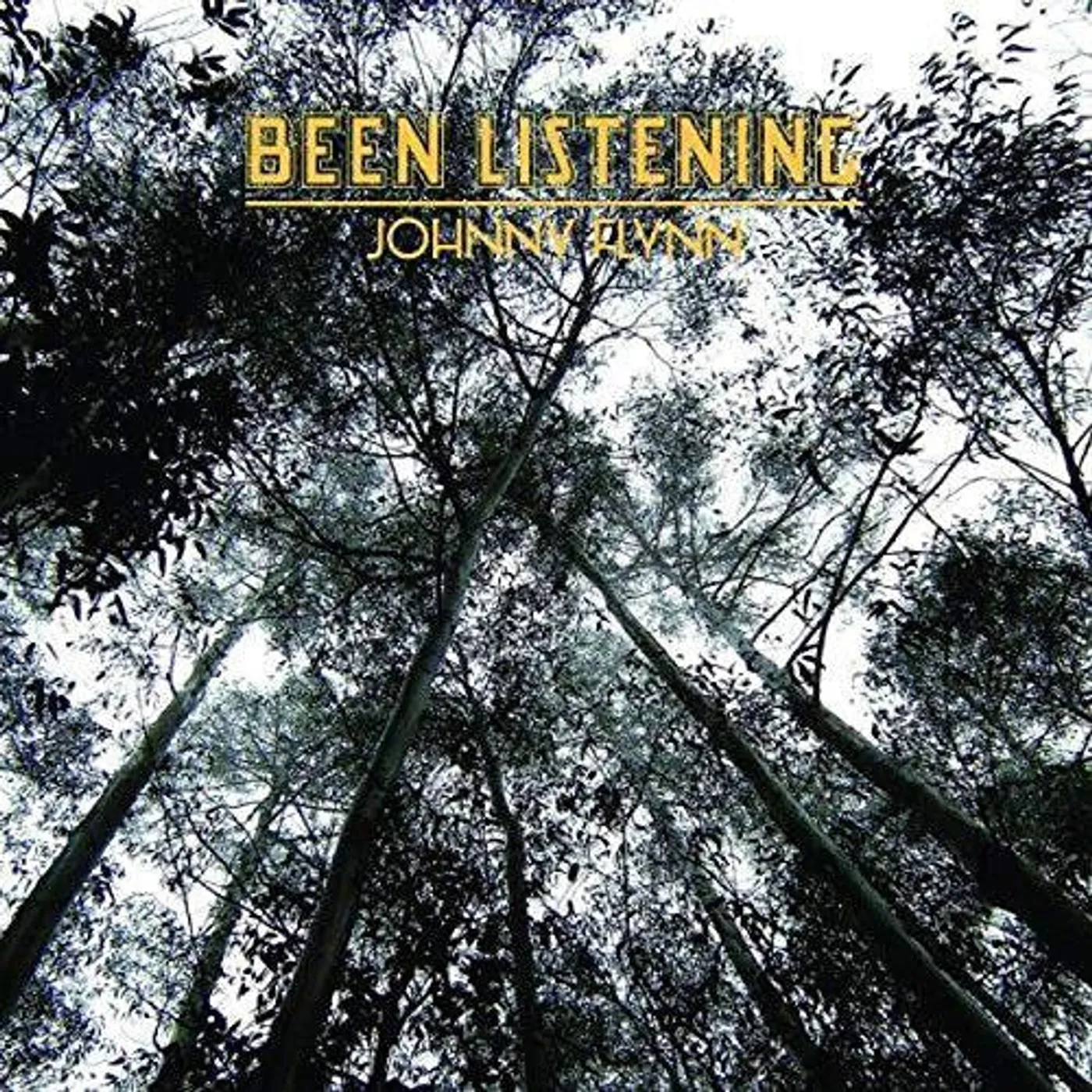 Johnny Flynn LP Vinyl - Been Listening (Uk)