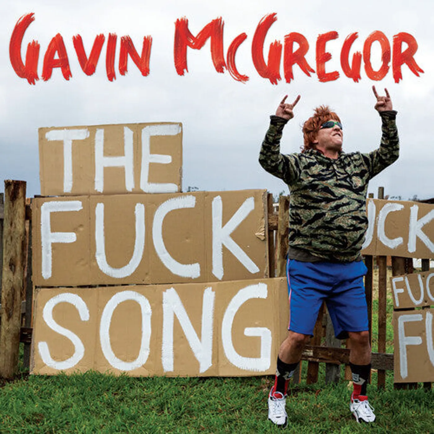 Chris Lilley LP Vinyl - Fuck Song (Red)