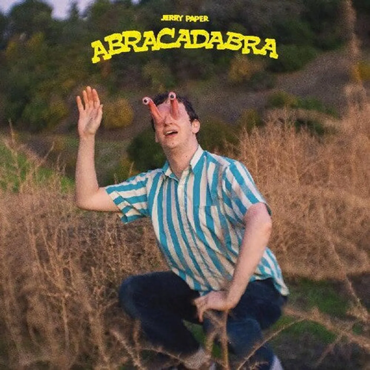 Jerry Paper LP Vinyl - Abracadabra