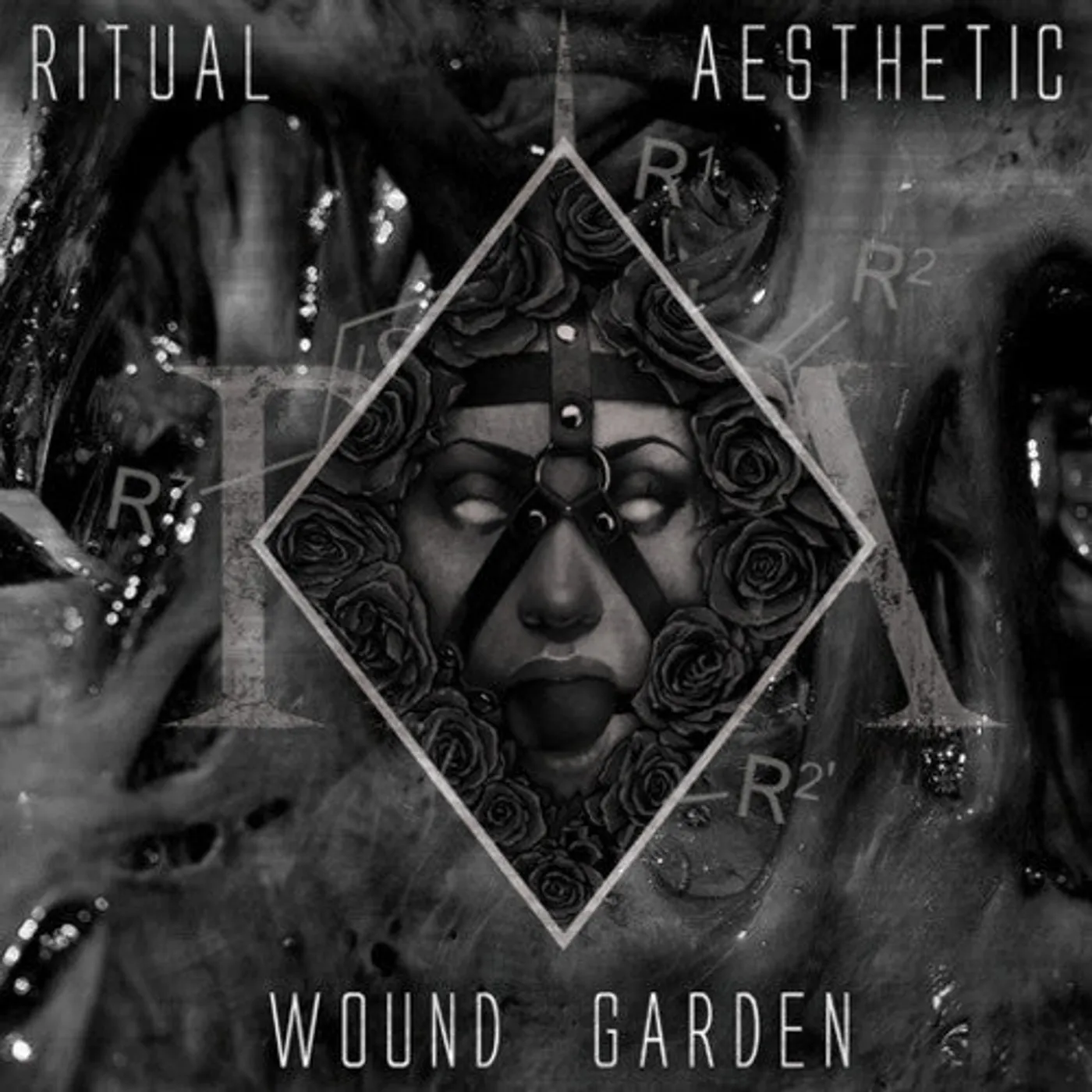 Ritual Aesthetic LP Vinyl - Wound Garden (Ltd)
