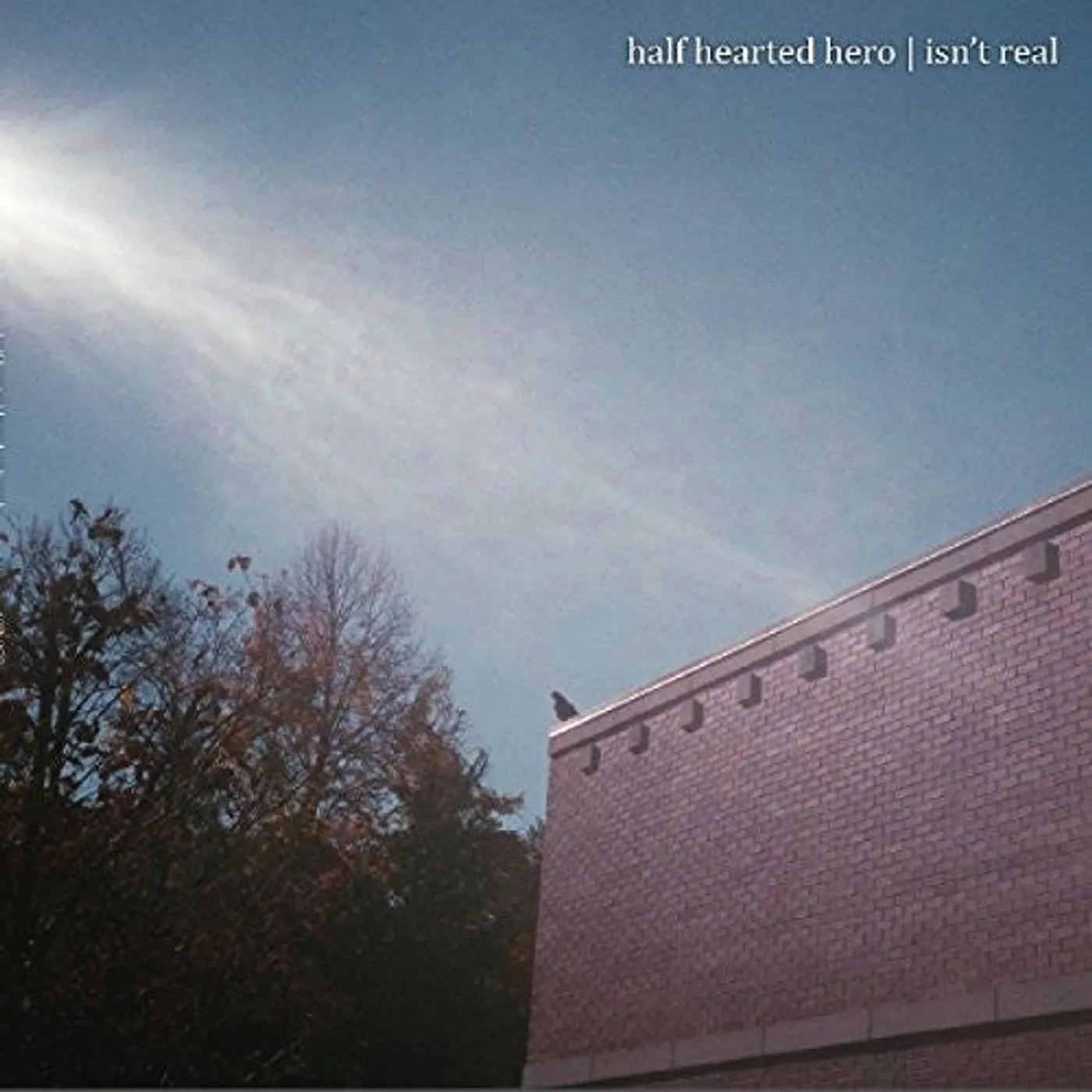 Half Hearted Hero LP Vinyl - Isn'T Real