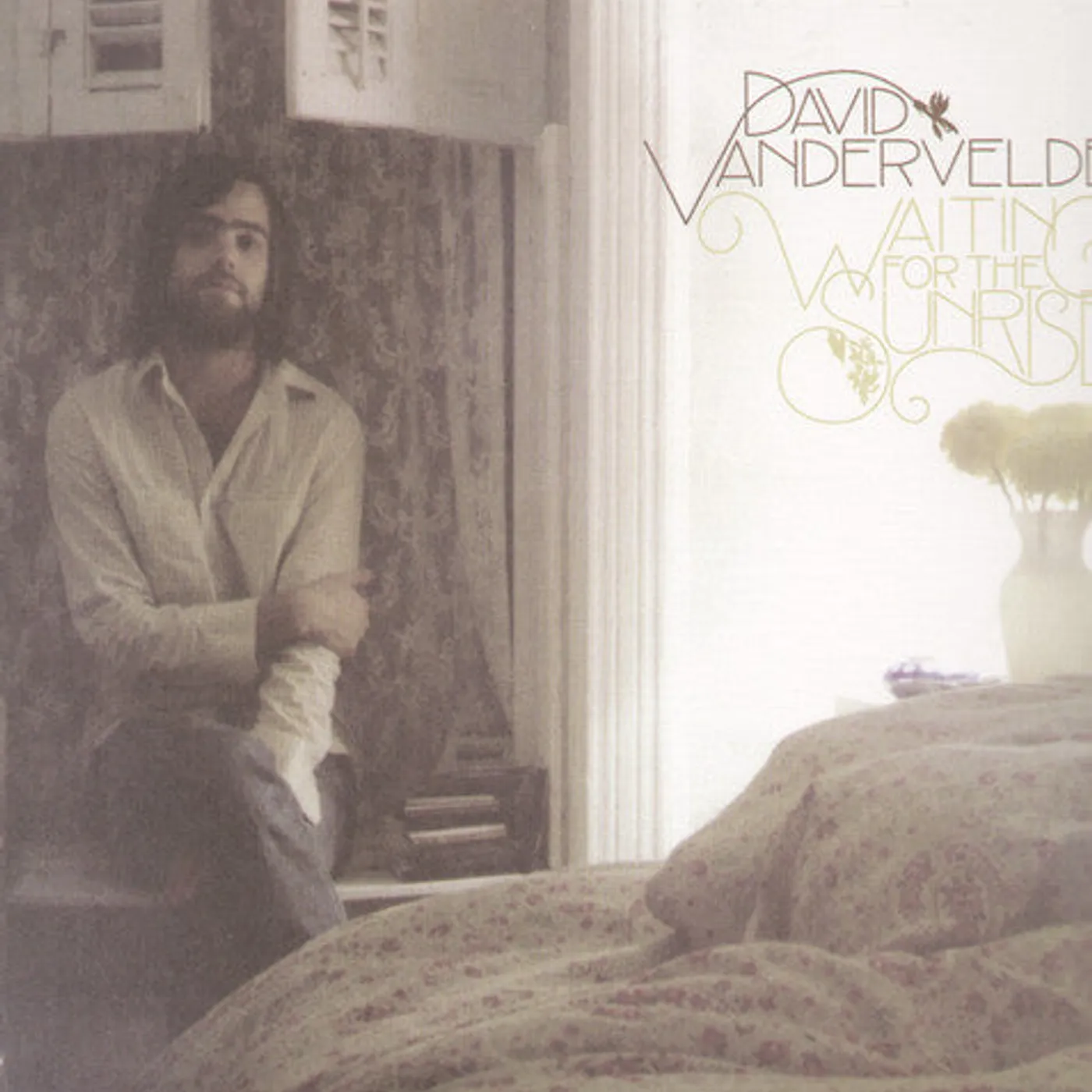 David Vandervelde LP Vinyl - Waiting For The Sunrise