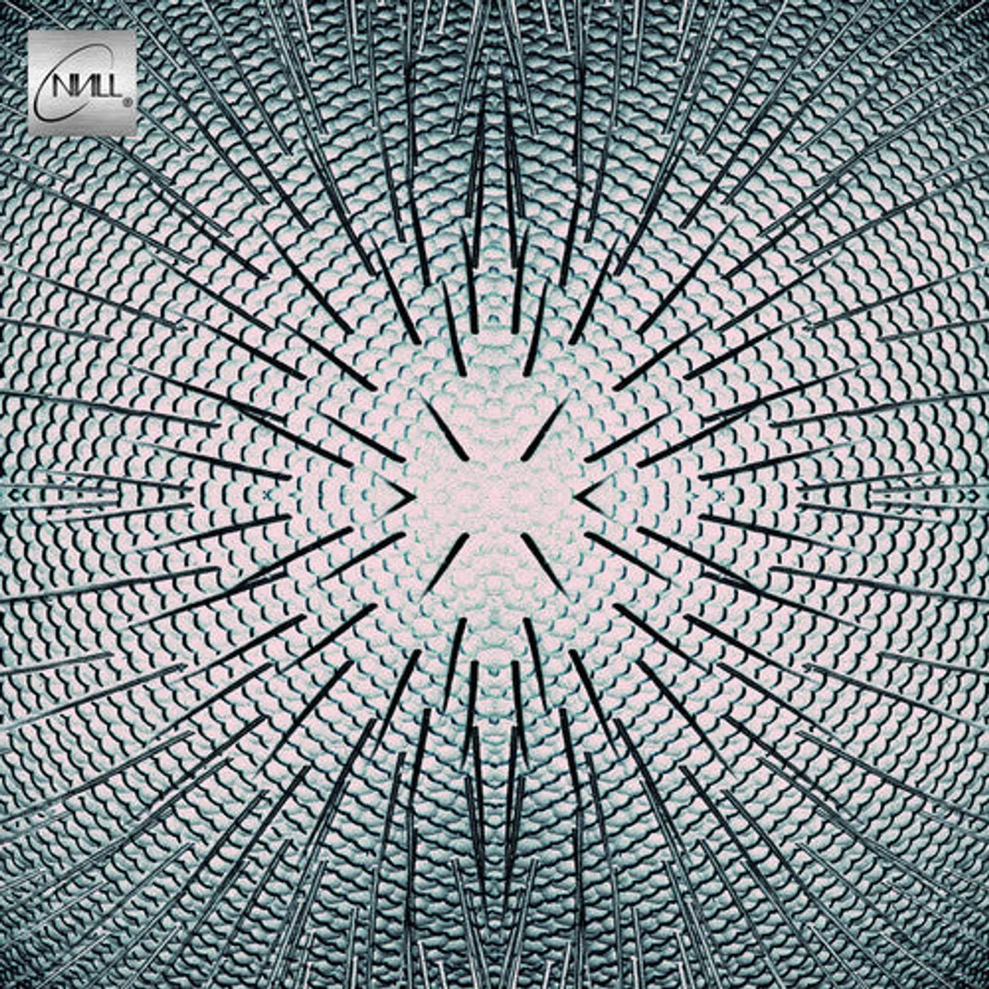 Null LP Vinyl - Almost (Cvnl) (Ltd)
