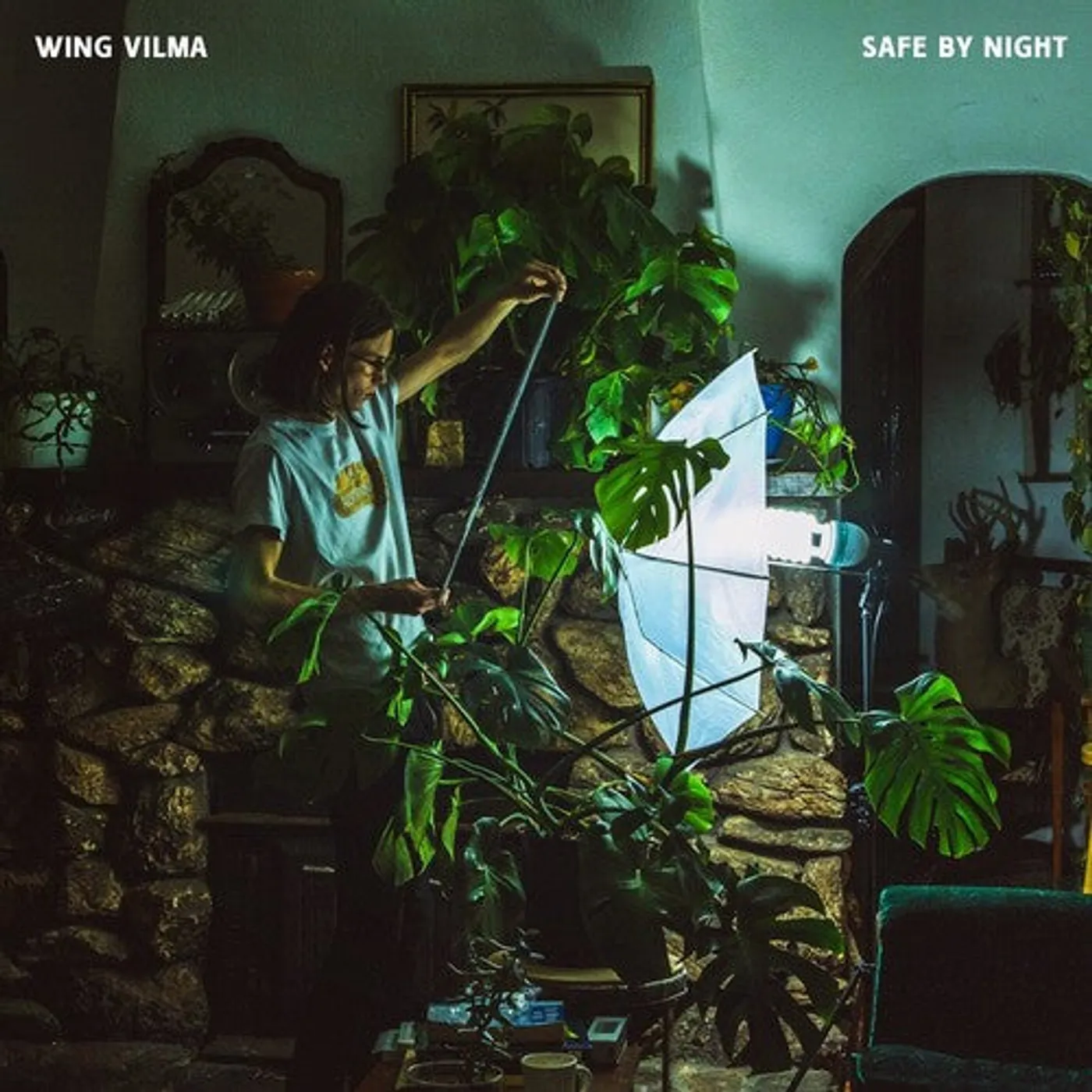 Wing Vilma LP Vinyl - Safe By Night (Grn)