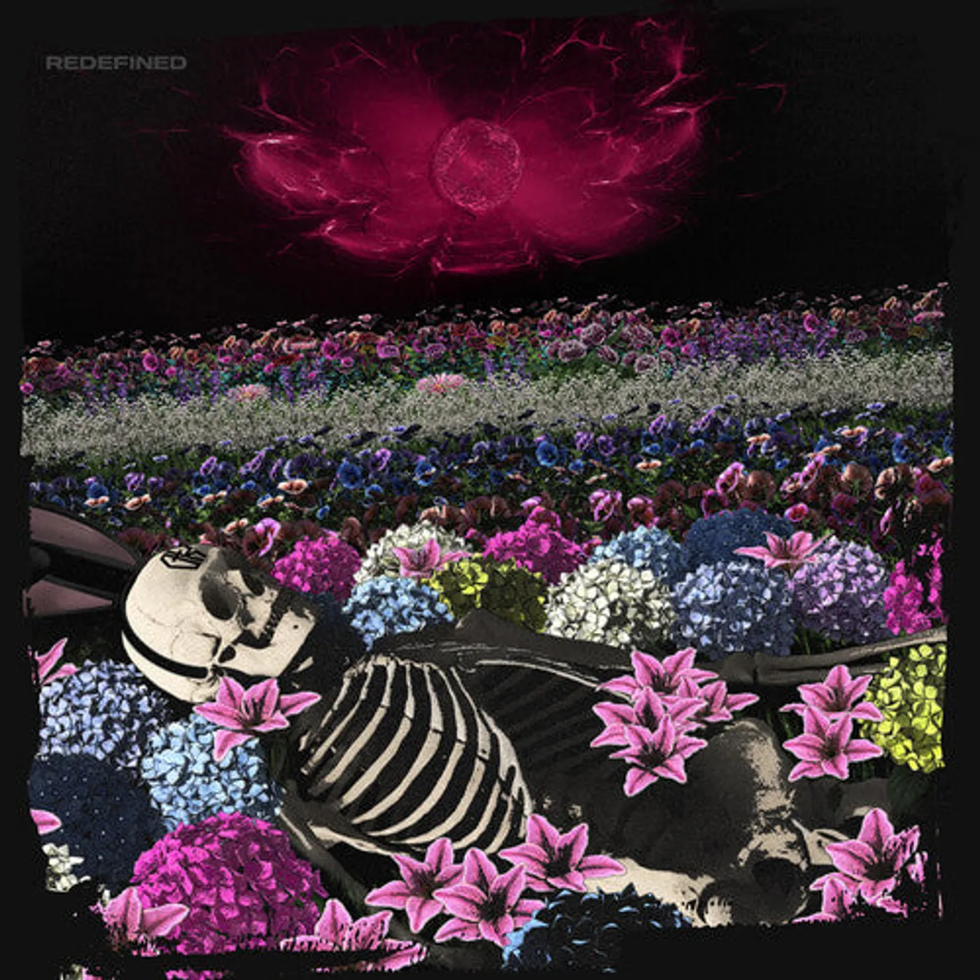 Dead Rabbitts LP Vinyl - Redefined