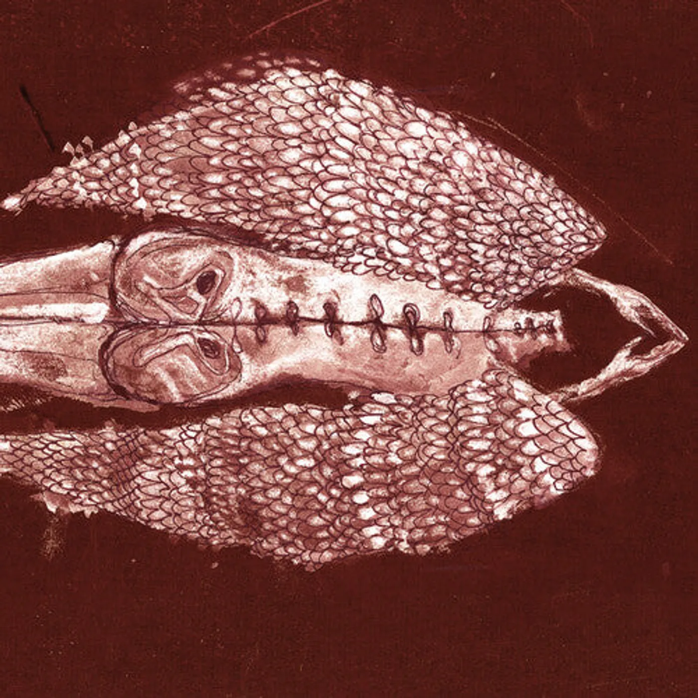 Cerberus Shoal LP Vinyl - Homb - Rouge (Coloured Vinyl) (Aniv)