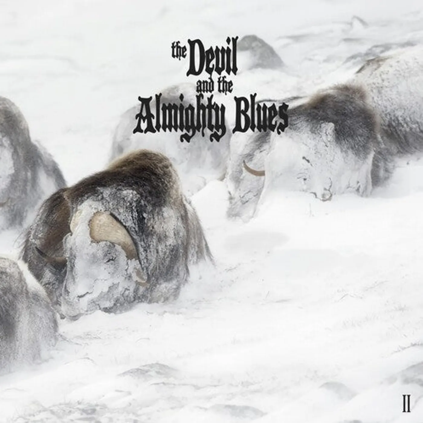 The Devil and the Almighty Blues LP Vinyl - Ii