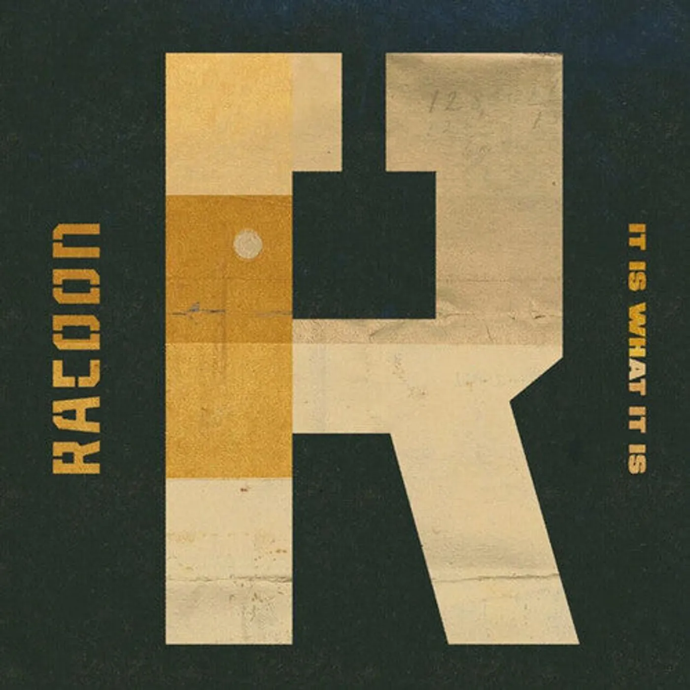 Racoon LP Vinyl - It Is What It Is (Box) (Ger)