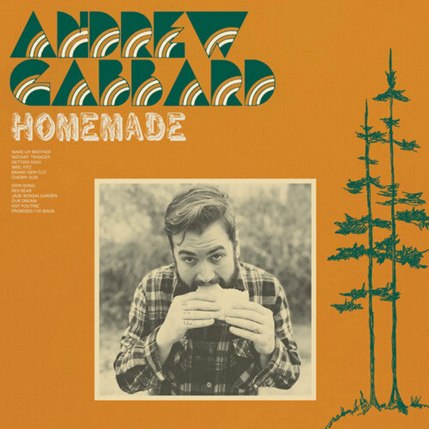Andrew Gabbard LP Vinyl - Homemade - Green (Coloured Vinyl) (Grn)