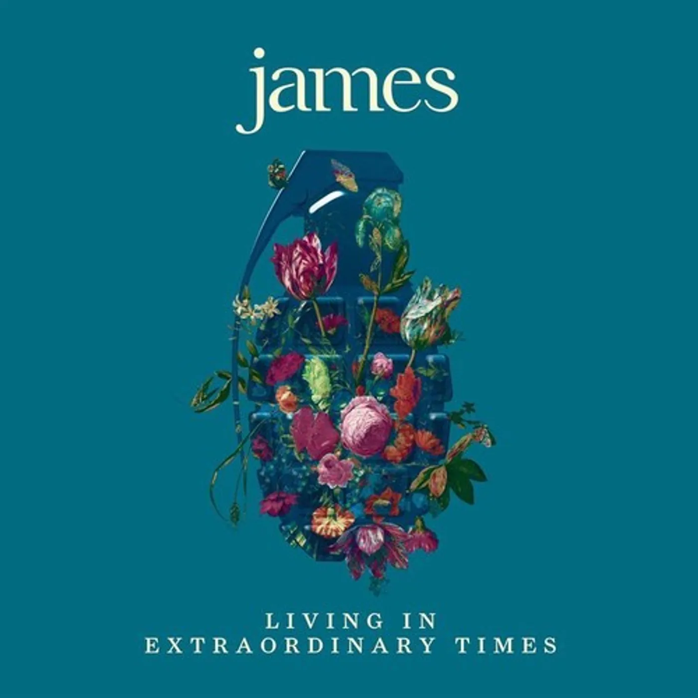 James LP Vinyl - Living In Extraordinary Times